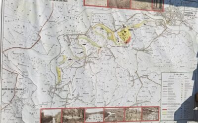 Zasavica i Sirmium – čuvari prirode i naslijeđa