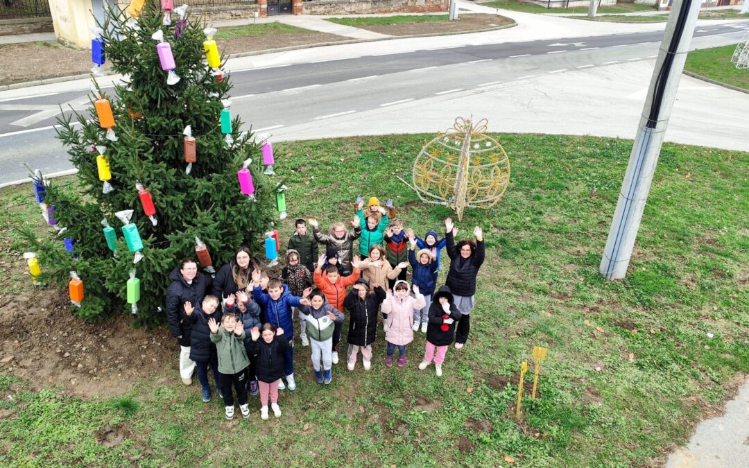 Najslađi bor u centru Mirkovaca!