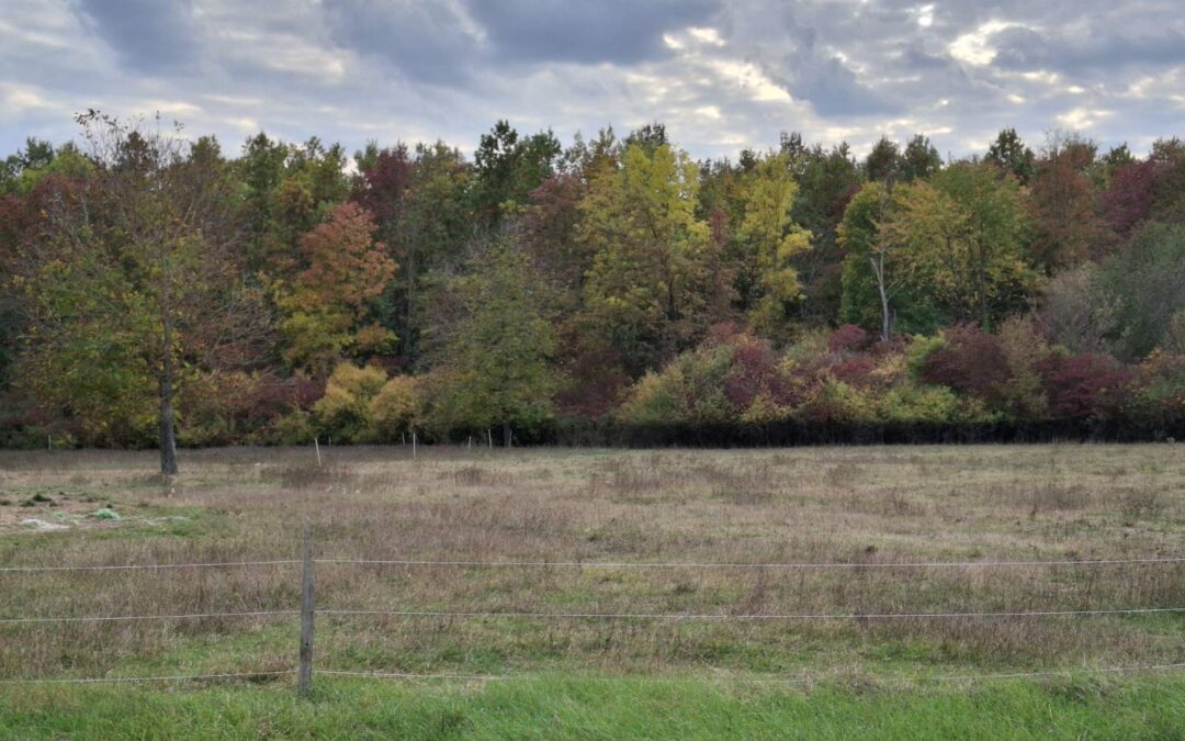 Razglednica zavičaja – razredni projekt 3. b