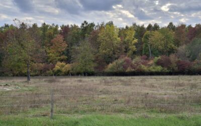 Razglednica zavičaja – razredni projekt 3. b