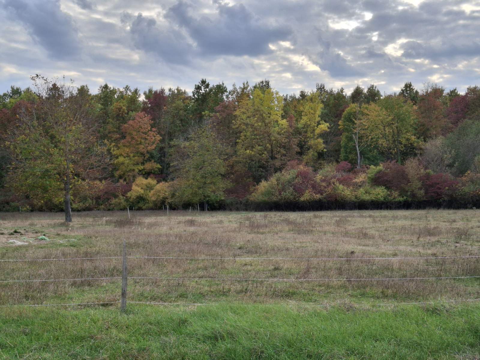 viber_slika_2025-10-18_18-59-17-085