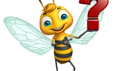 Med i pčele – razredni projekt 3.b