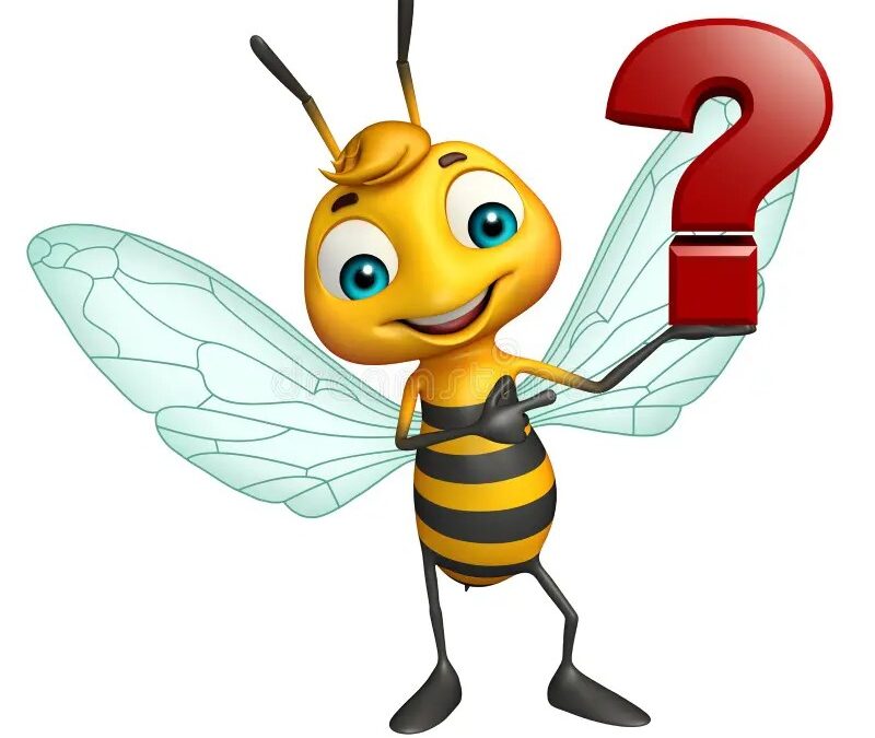 Med i pčele – razredni projekt 3.b