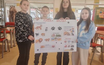 Međunarodni projekt NMK2