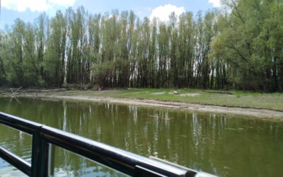 IZVANUČIONIČKA NASTAVA – KOPAČKI RIT